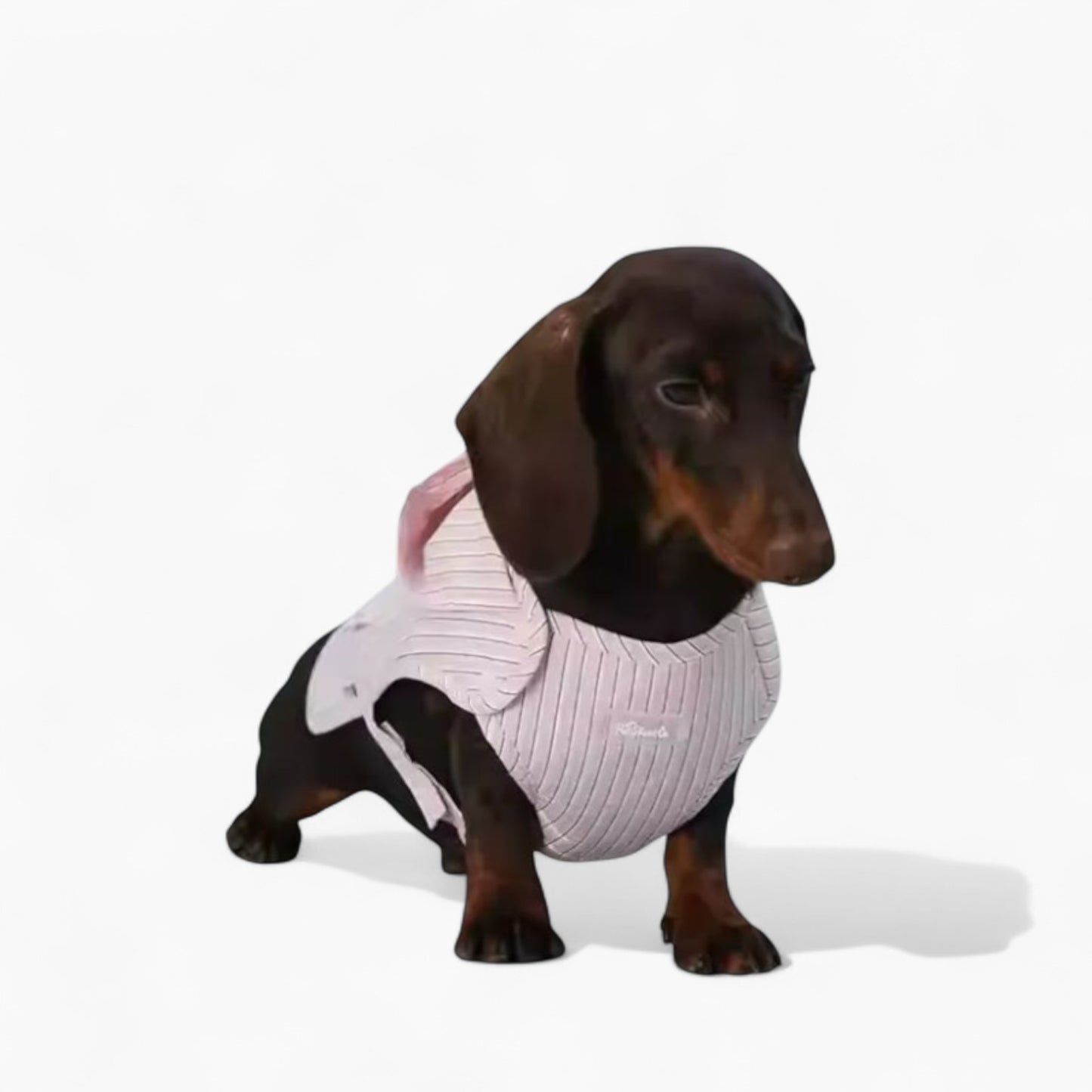 DoxiCape-Dachshund-Hooded-Bichon.jpg