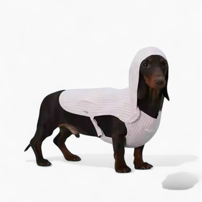 DoxiCape-Dachshund-Hooded-Bichon.jpg