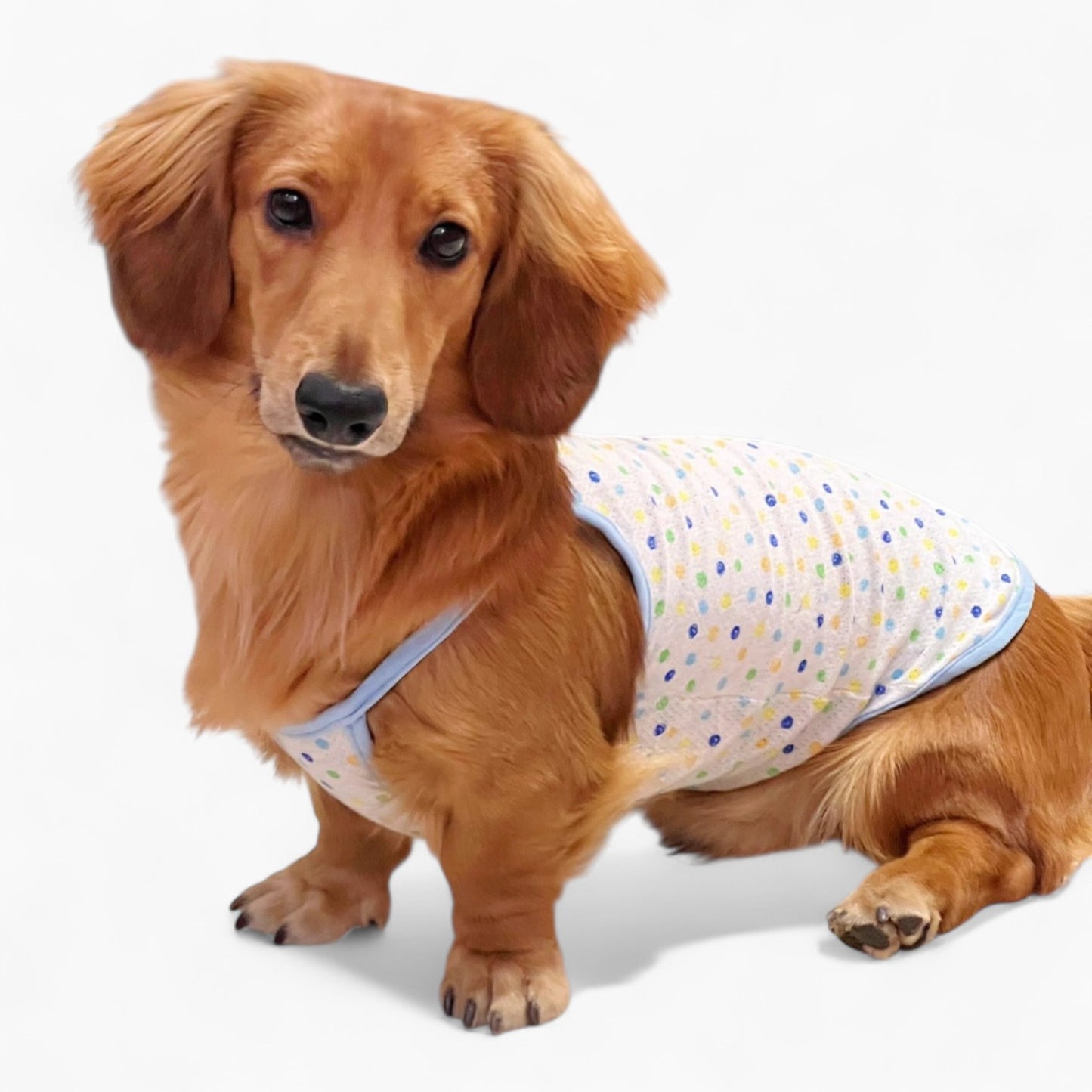DoxiCotton-Dachshund-Summer-Tops.jpg