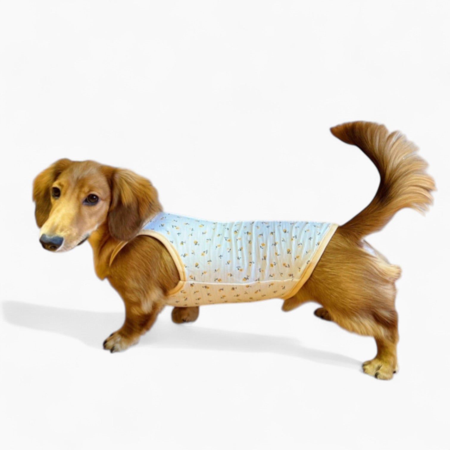 DoxiCotton-Dachshund-Summer-Tops.jpg