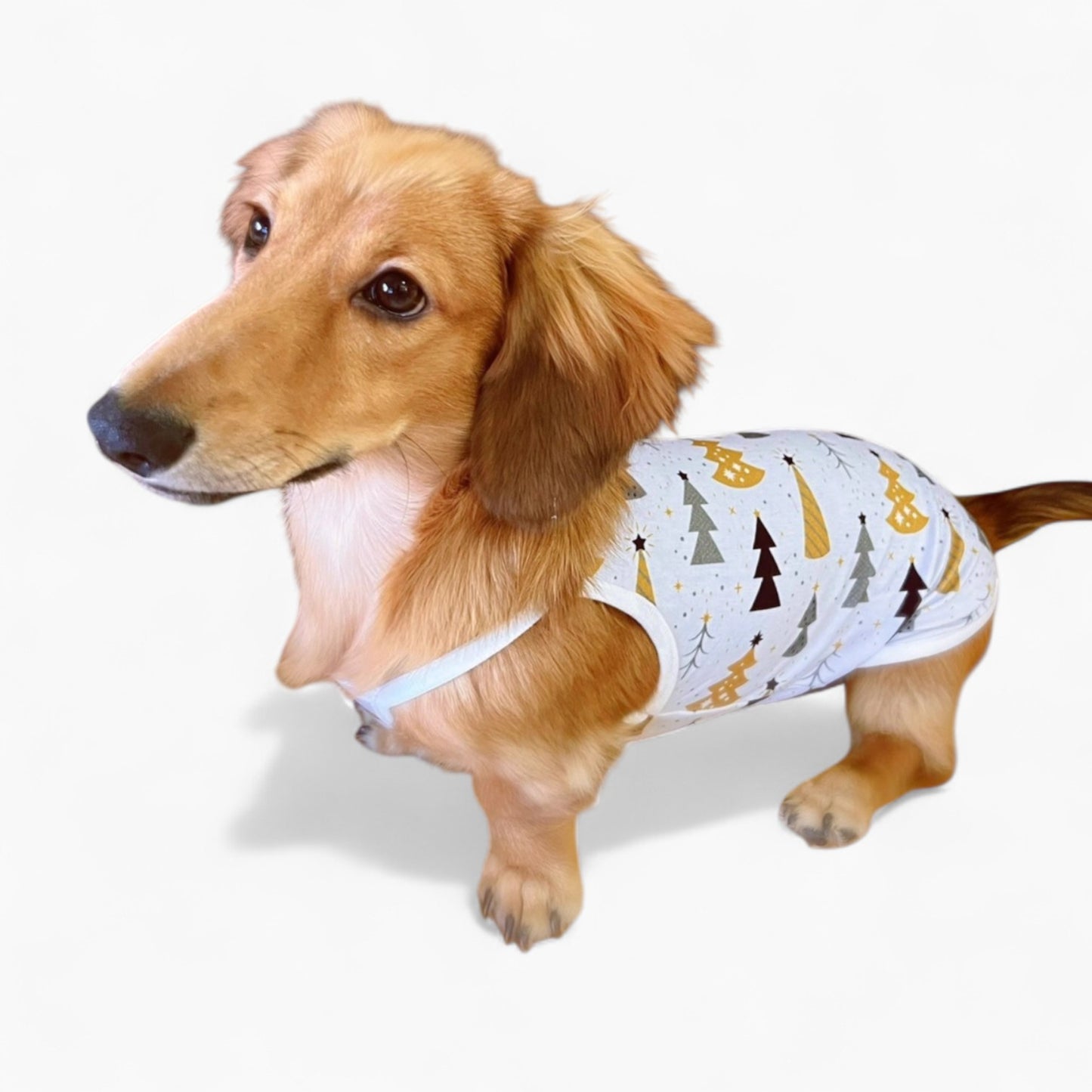 DoxiCotton-Dachshund-Summer-Tops.jpg