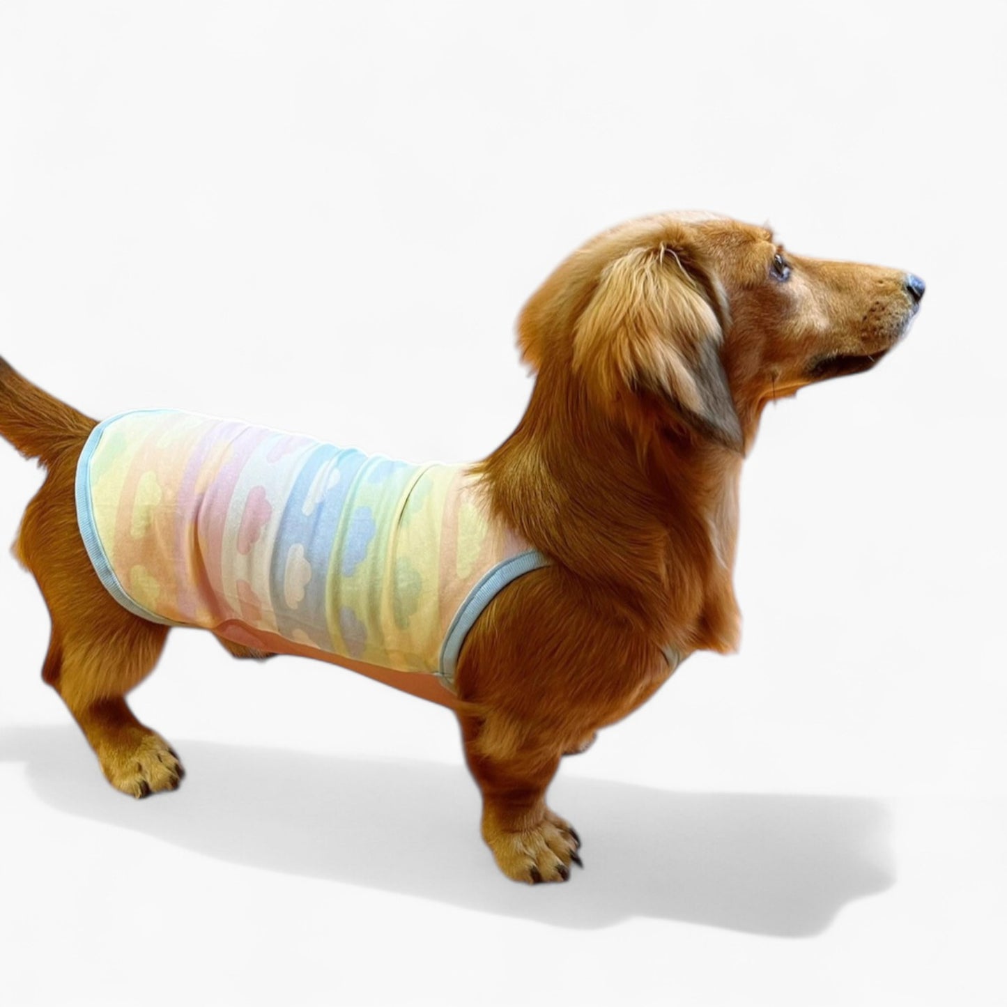 DoxiCotton-Dachshund-Summer-Tops.jpg