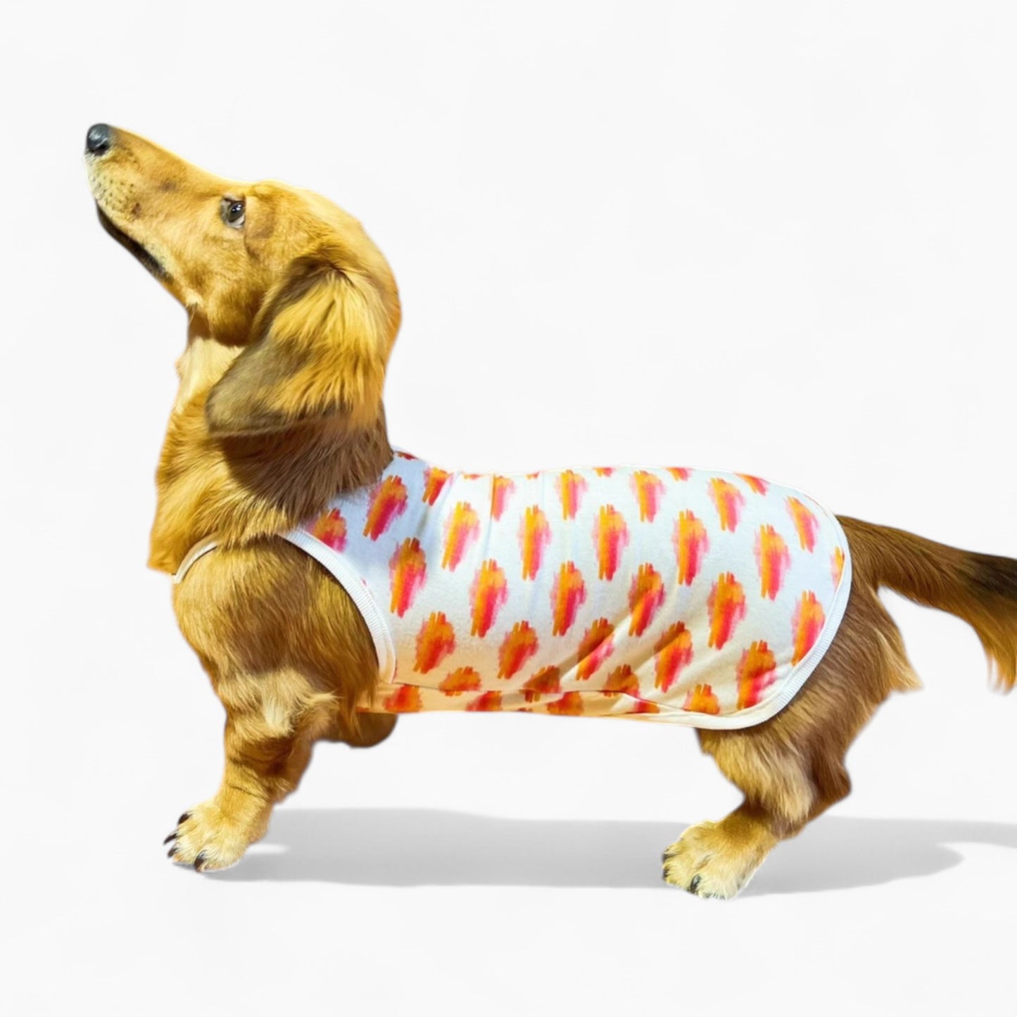 DoxiCotton-Dachshund-Summer-Tops.jpg