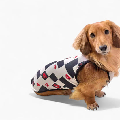 DoxiCotton-Dachshund-Summer-Tops.jpg