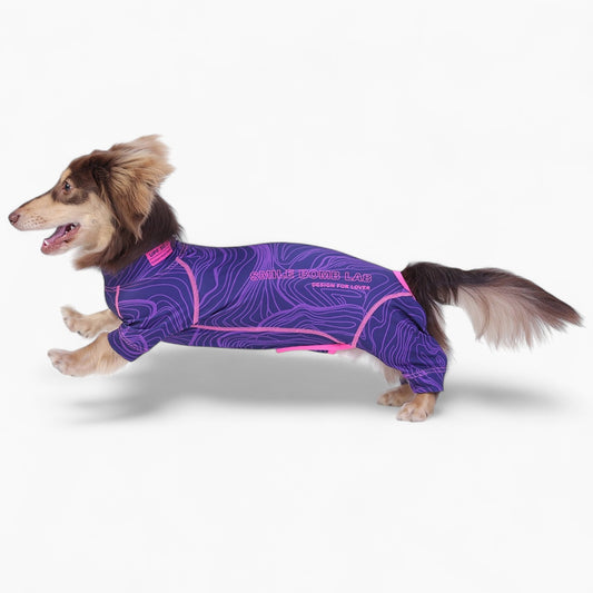 DoxiDream-Dachshund-Pajamas.jpg