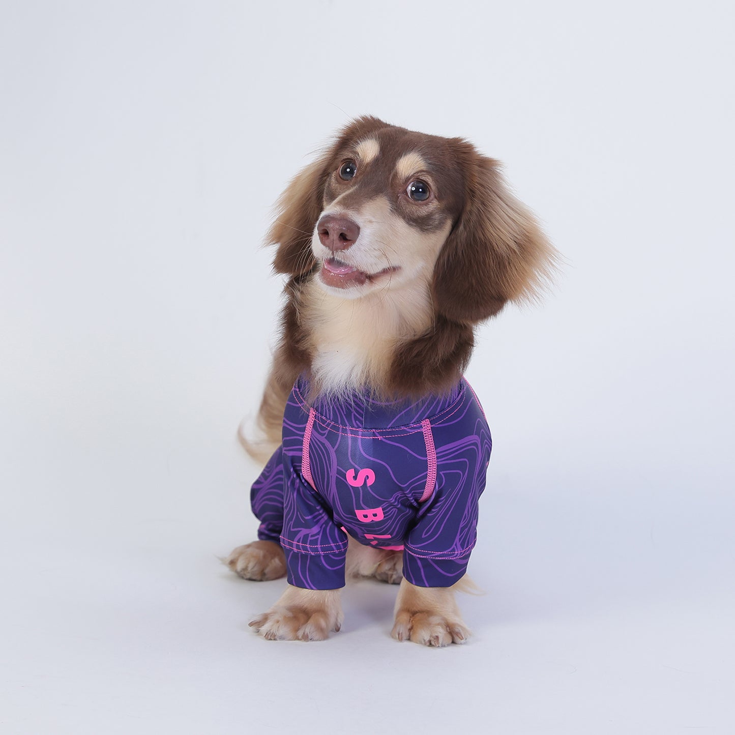 DoxiDream-Dachshund-Pajamas.jpg