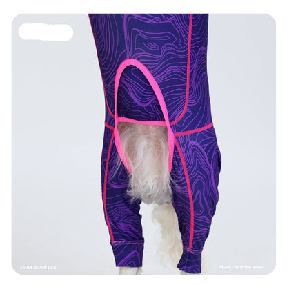 DoxiDream-Dachshund-Pajamas.jpg
