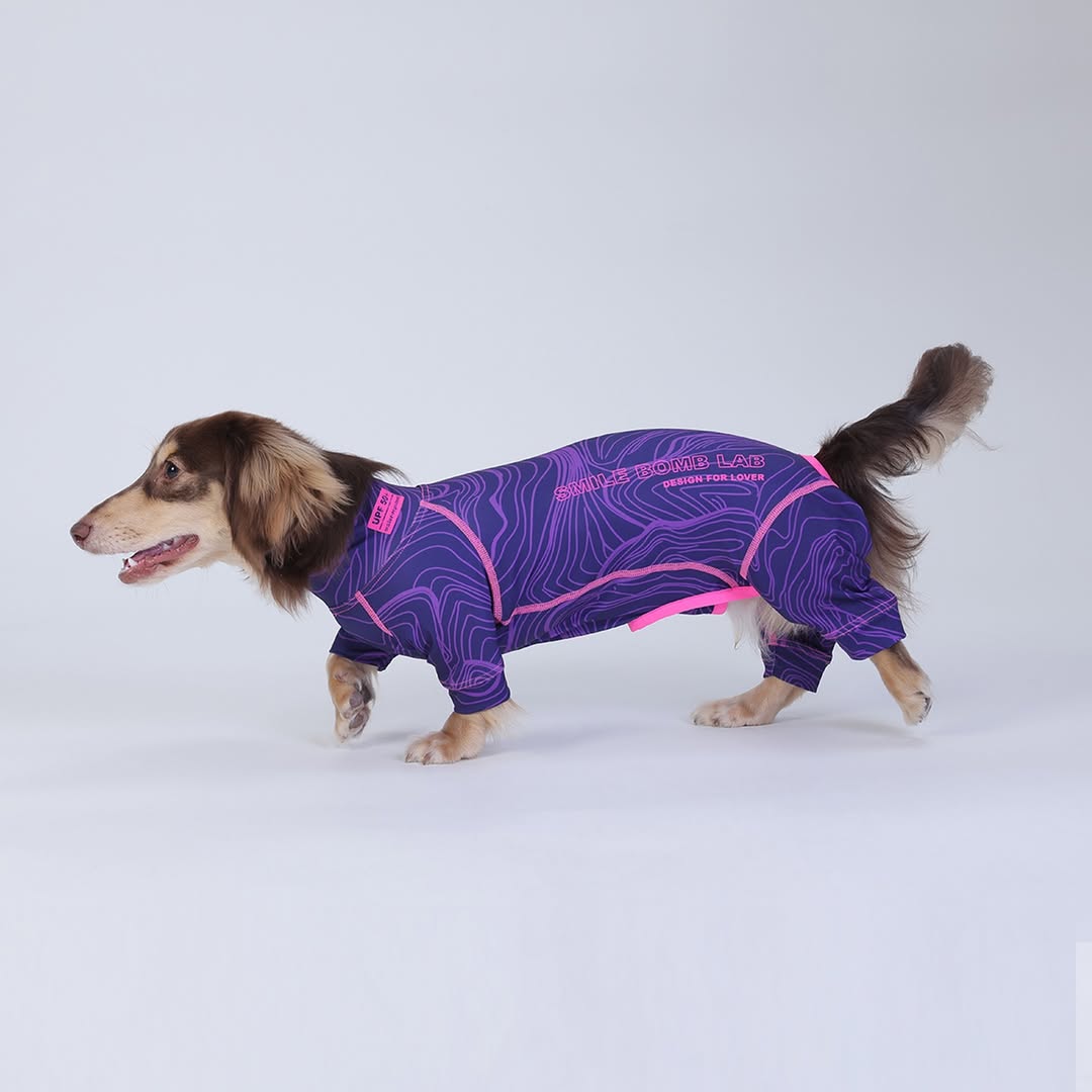 DoxiDream-Dachshund-Pajamas.jpg