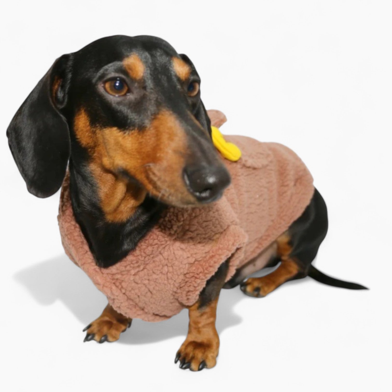 DoxiDrobe-Dachshund-Plush-Vest.jpg