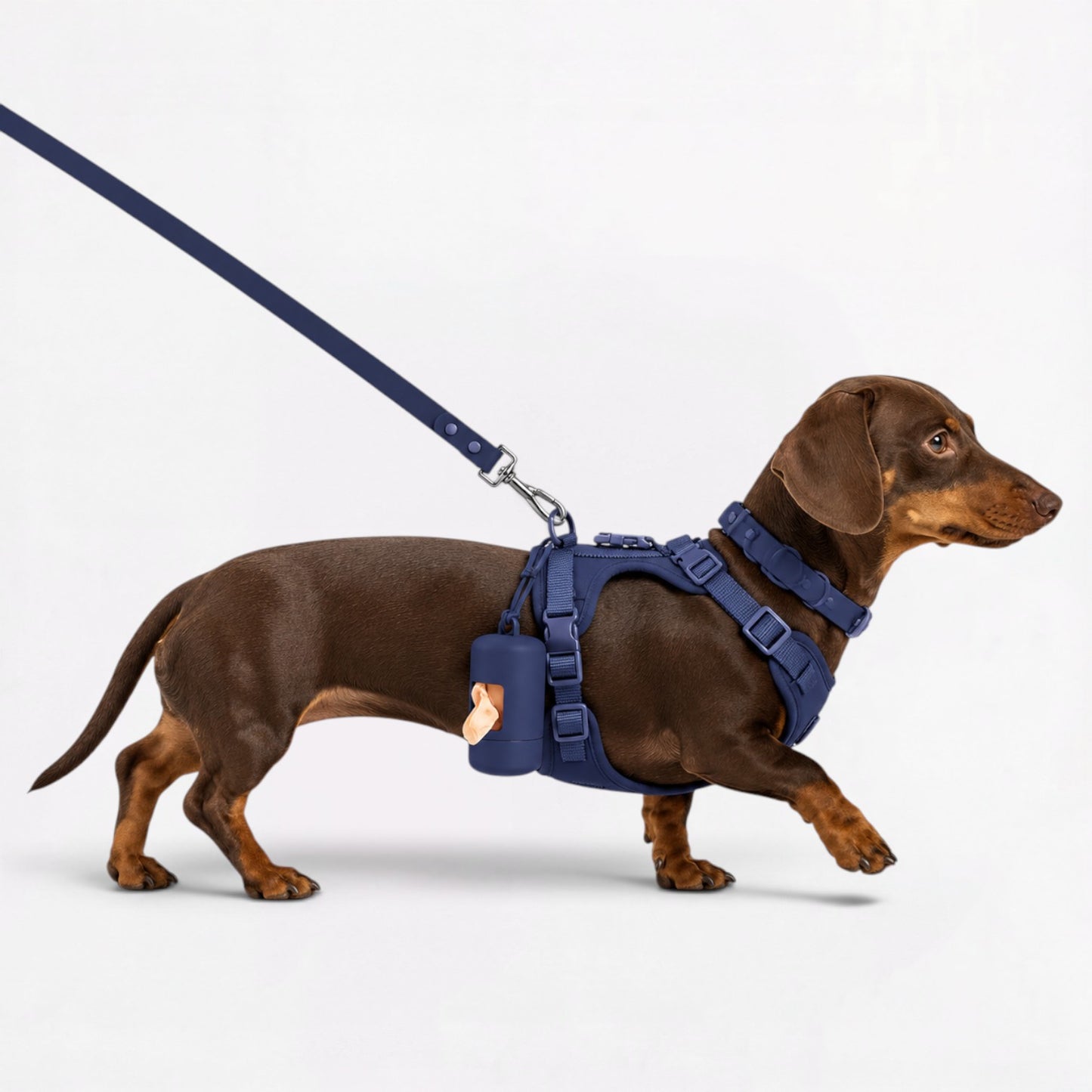 DoxiFlex-Dachshund-Soft-Gear-Set.jpg