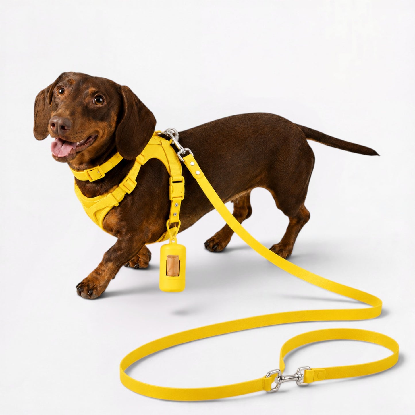 DoxiFlex-Dachshund-Soft-Gear-Set.jpg