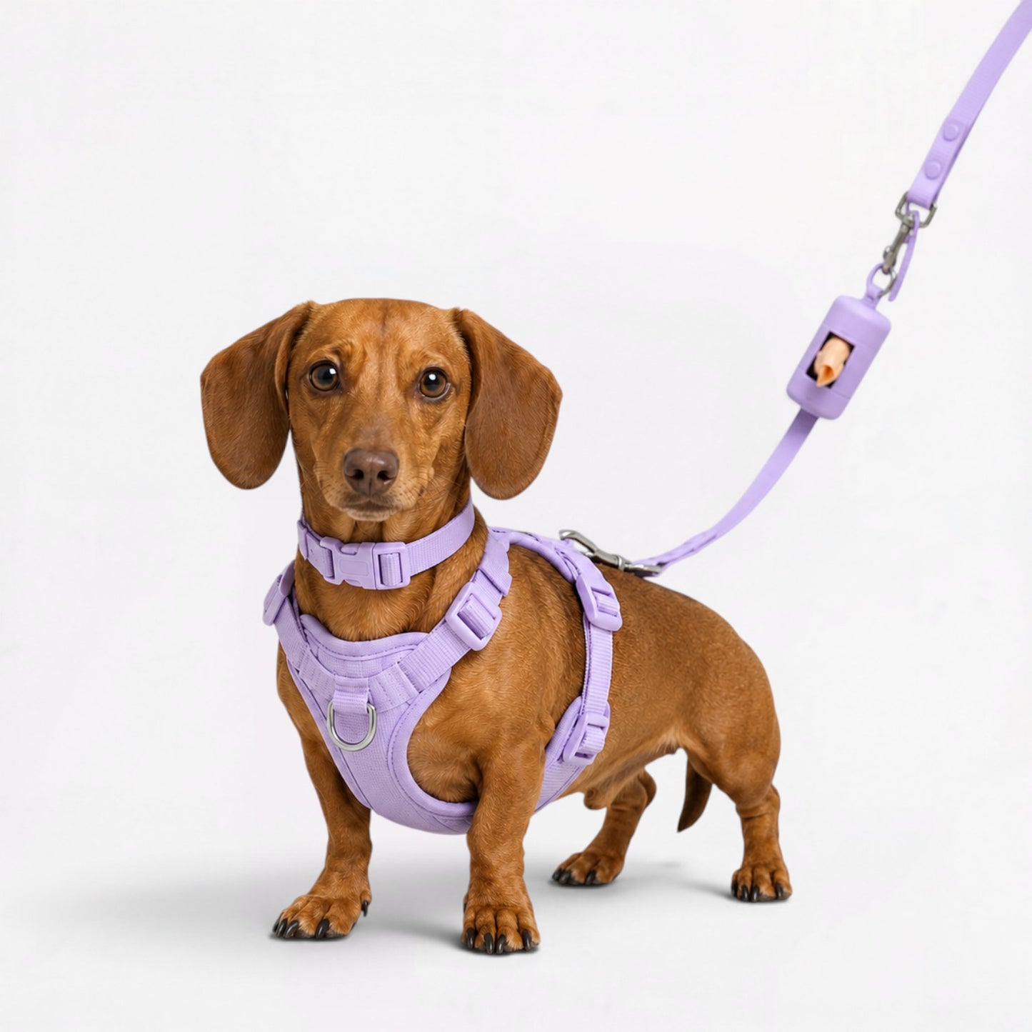 DoxiFlex-Dachshund-Soft-Gear-Set.jpg
