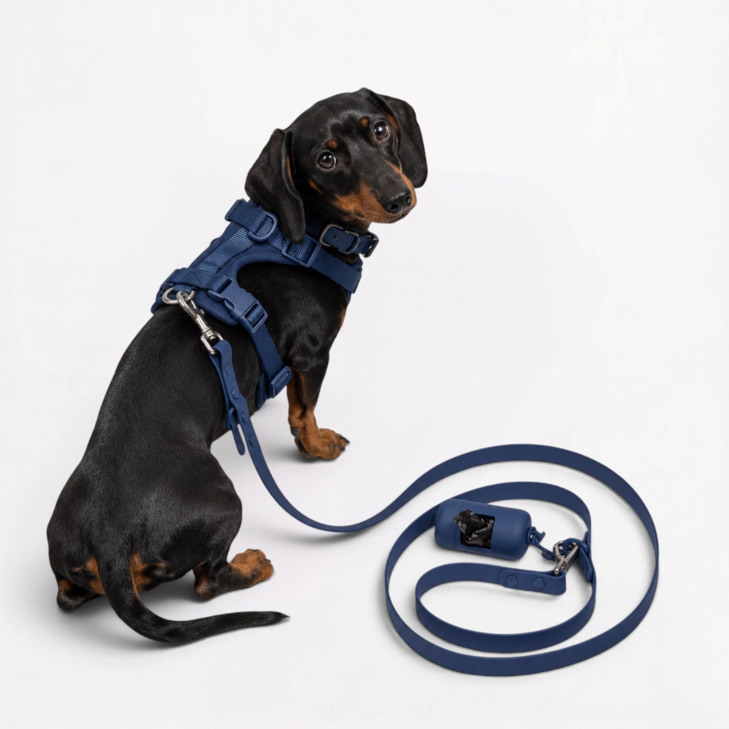 DoxiFlex-Dachshund-Soft-Gear-Set.jpg