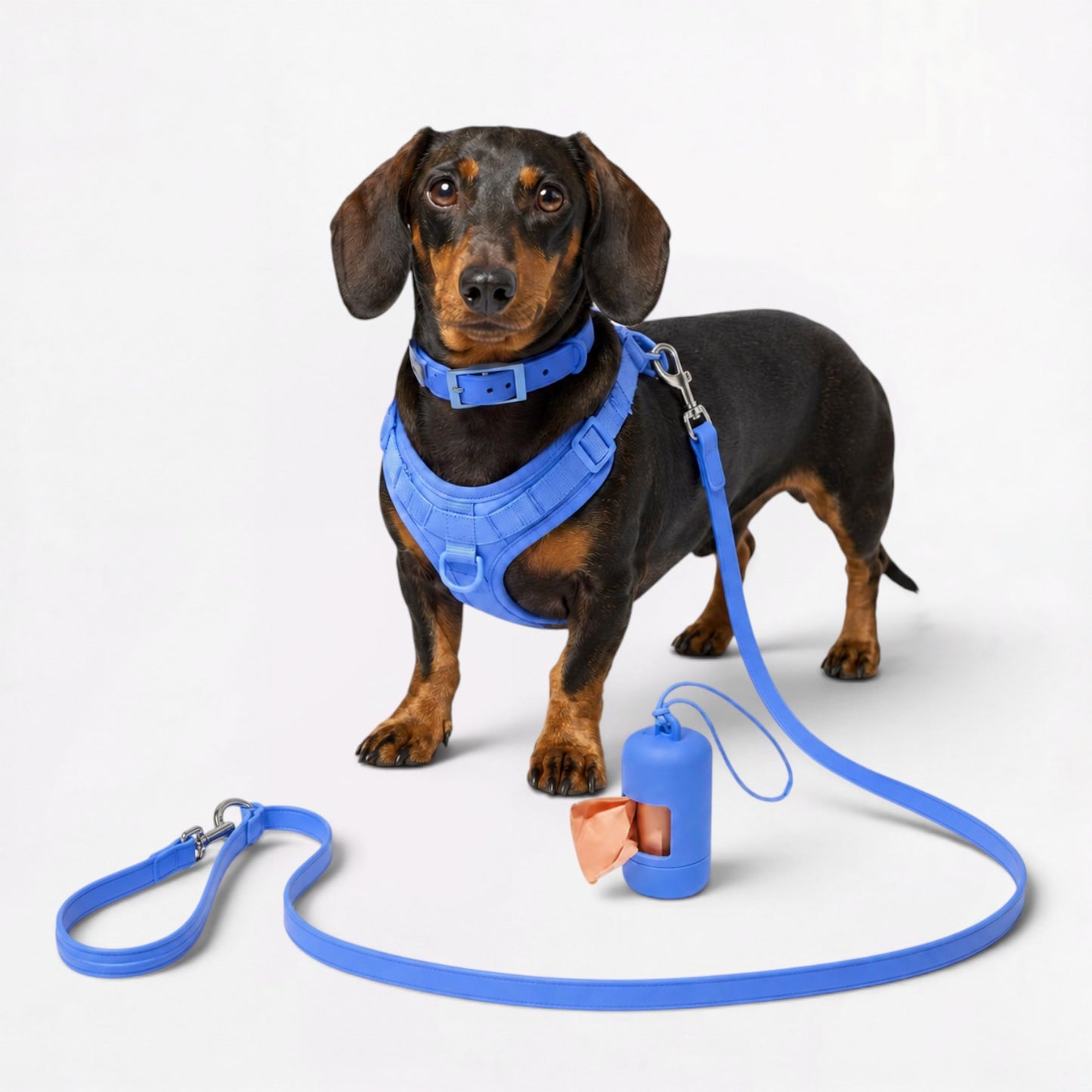 DoxiFlex-Dachshund-Soft-Gear-Set.jpg