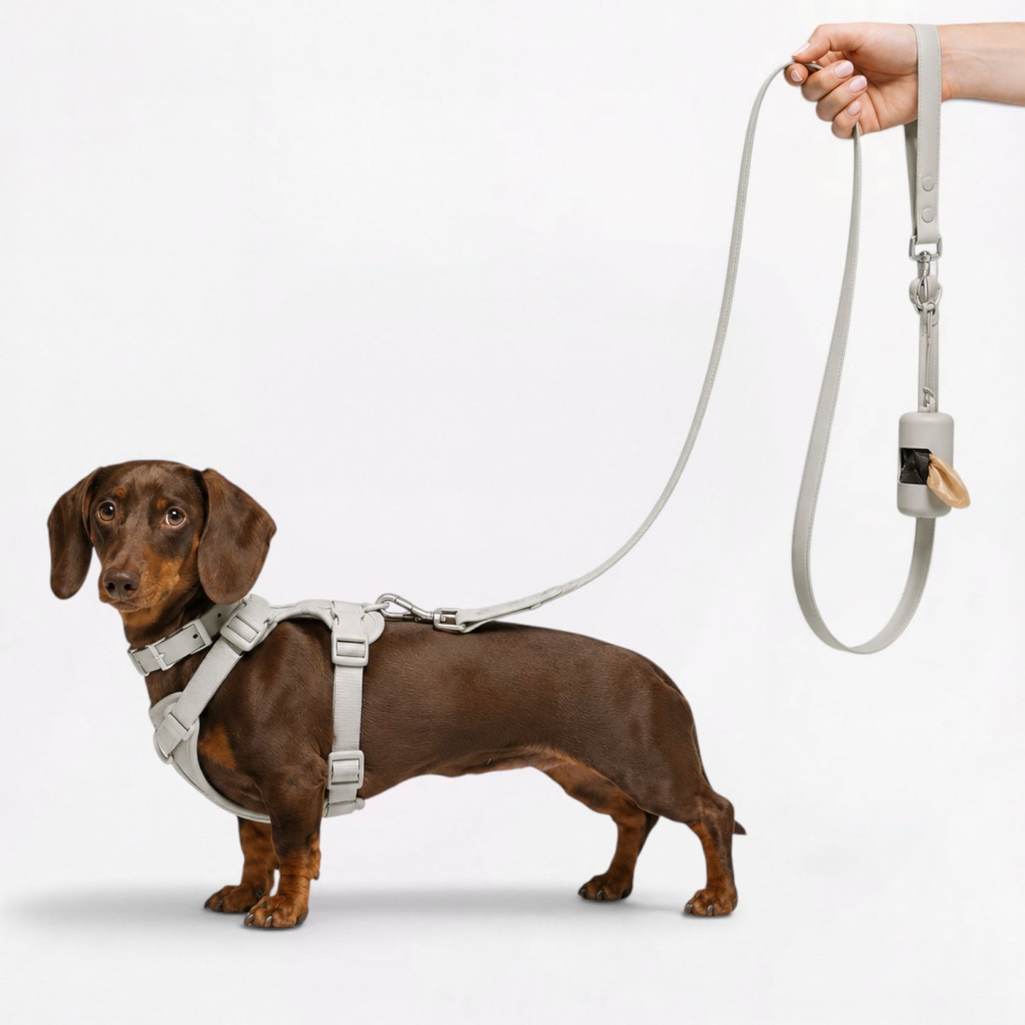 DoxiFlex-Dachshund-Soft-Gear-Set.jpg