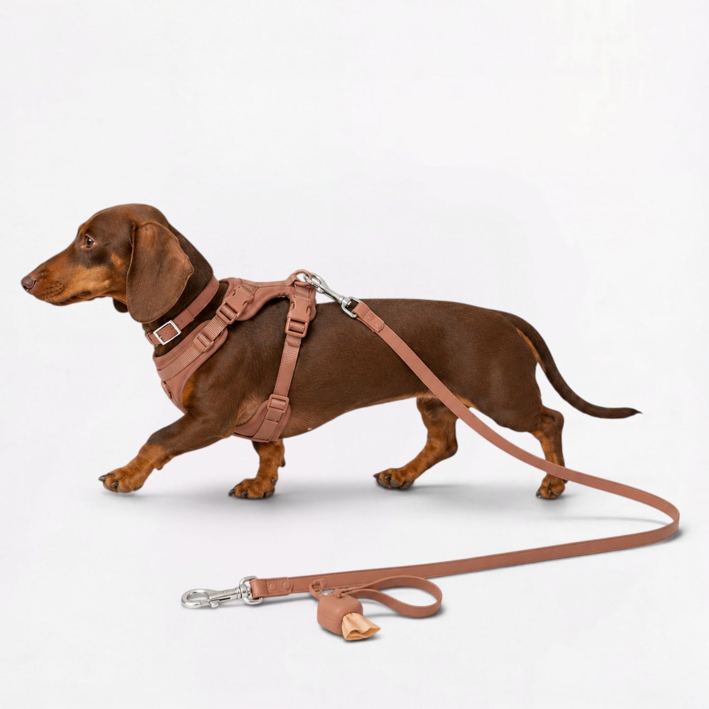 DoxiFlex-Dachshund-Soft-Gear-Set.jpg