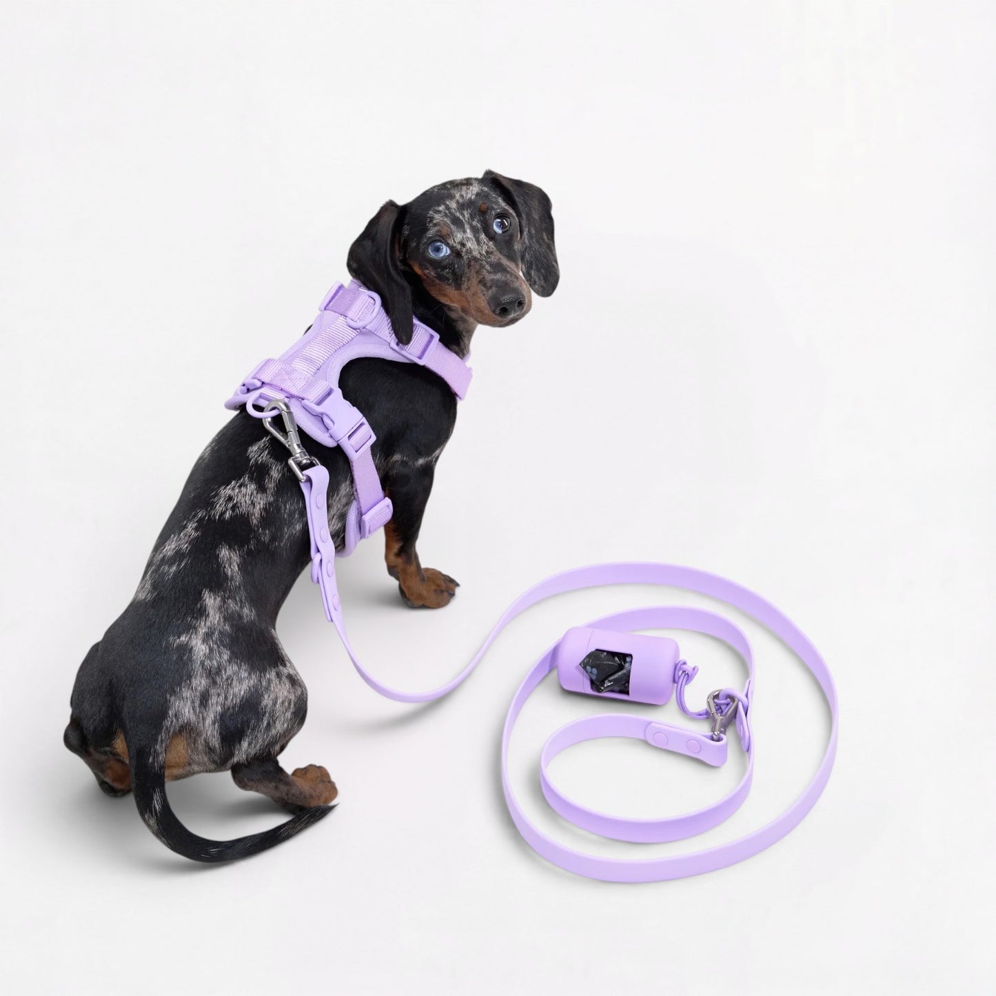DoxiFlex-Dachshund-Soft-Gear-Set.jpg
