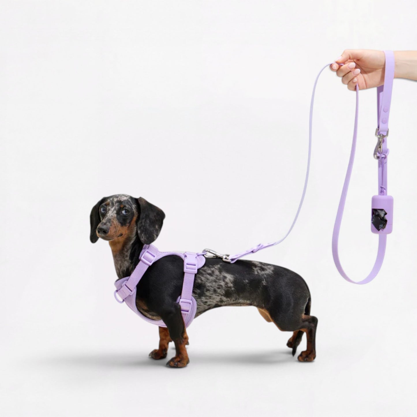 DoxiFlex-Dachshund-Soft-Gear-Set.jpg