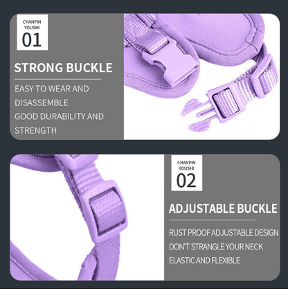 DoxiFlex-Dachshund-Soft-Gear-Set.jpg