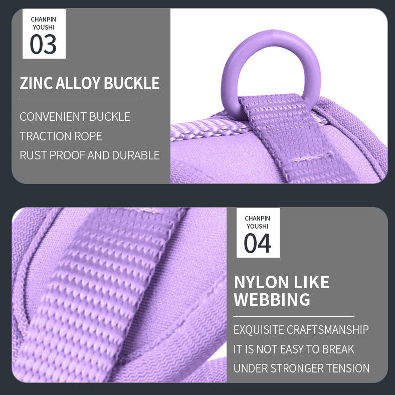 DoxiFlex-Dachshund-Soft-Gear-Set.jpg