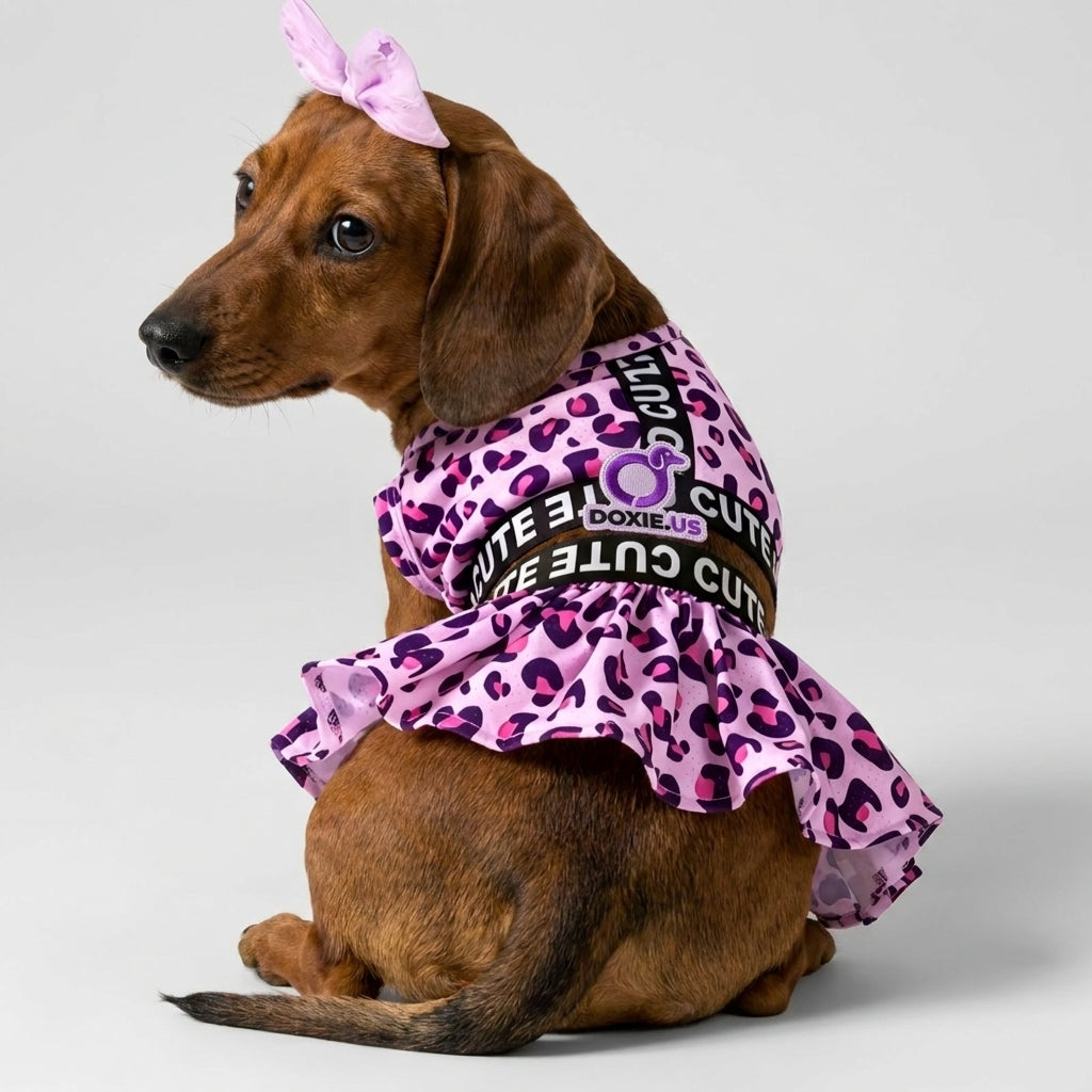 DoxiGlam-Dachshund-Leopard-Print-Dog-Dress.jpg
