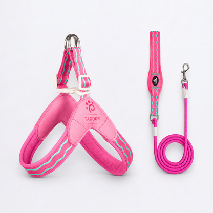 DoxiGlow-Dachshund-Saddle-Harness-Leash-Set.jpg