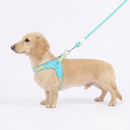 DoxiGlow-Dachshund-Saddle-Harness-Leash-Set.jpg