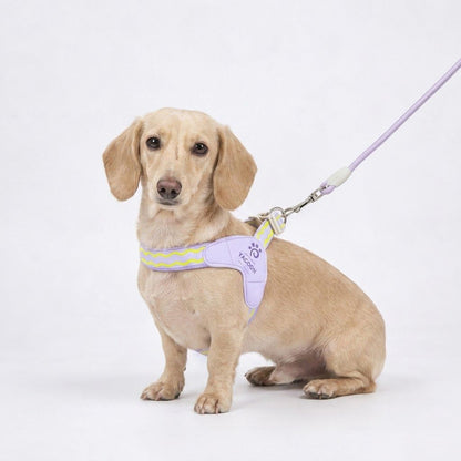 DoxiGlow-Dachshund-Saddle-Harness-Leash-Set.jpg