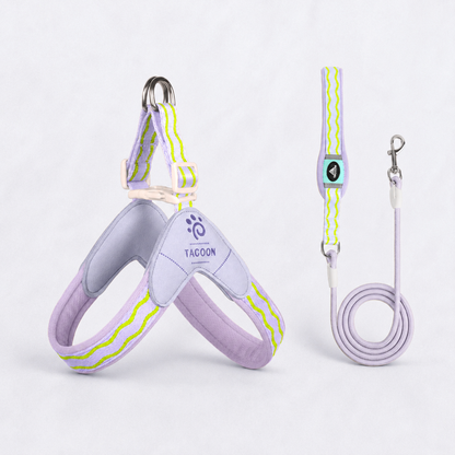 DoxiGlow-Dachshund-Saddle-Harness-Leash-Set.jpg