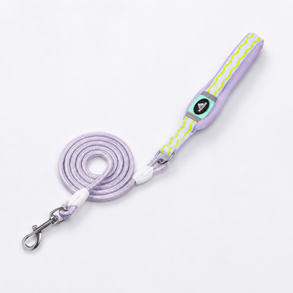 DoxiGlow-Dachshund-Saddle-Harness-Leash-Set.jpg