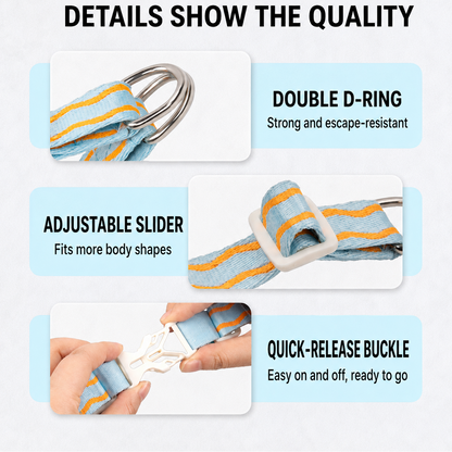 DoxiGlow-Dachshund-Saddle-Harness-Leash-Set.jpg