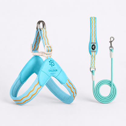 DoxiGlow-Dachshund-Saddle-Harness-Leash-Set.jpg