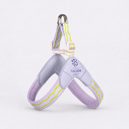 DoxiGlow-Dachshund-Saddle-Harness-Leash-Set.jpg