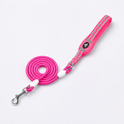DoxiGlow-Dachshund-Saddle-Harness-Leash-Set.jpg