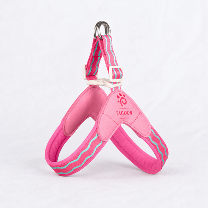 DoxiGlow-Dachshund-Saddle-Harness-Leash-Set.jpg