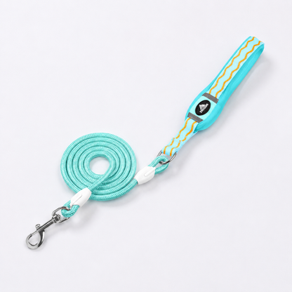 DoxiGlow-Dachshund-Saddle-Harness-Leash-Set.jpg