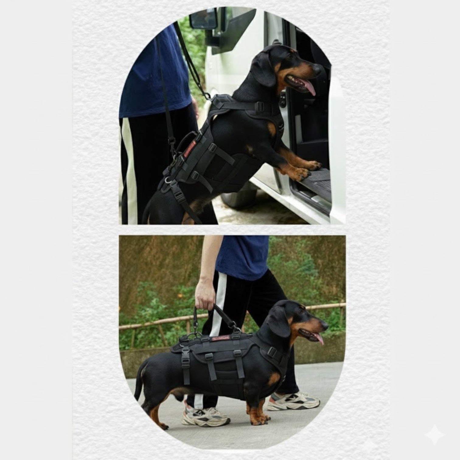 DoxiLift™-Dachshund-Walking-Aid-Harness.jpg