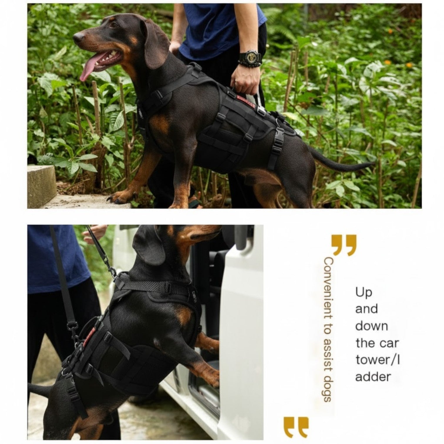 DoxiLift™-Dachshund-Walking-Aid-Harness.jpg