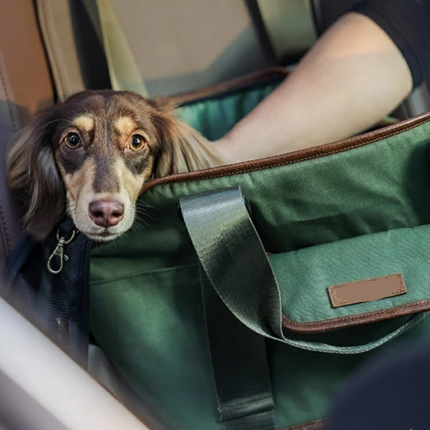 DoxiPort™-Dachshund-Backpack-Carrier.jpg
