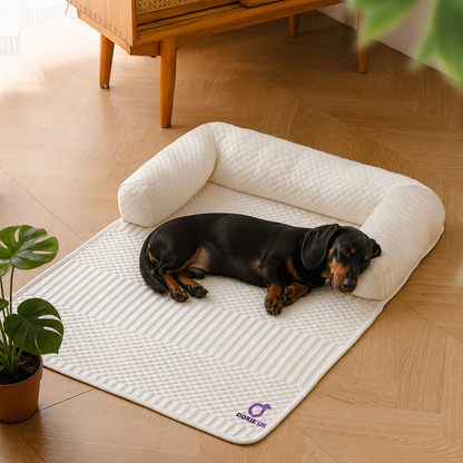 DoxiRest-Dachshund-Orthopedic-Bed.jpg