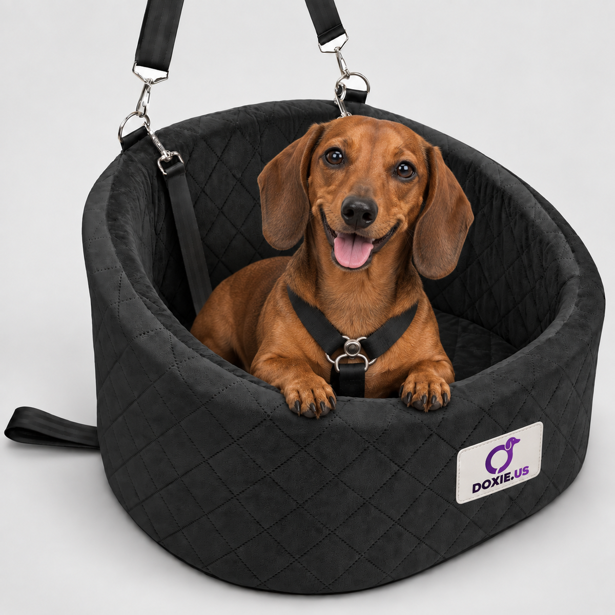DoxiRide-Dachshund-Car-Seat-Bed.jpg
