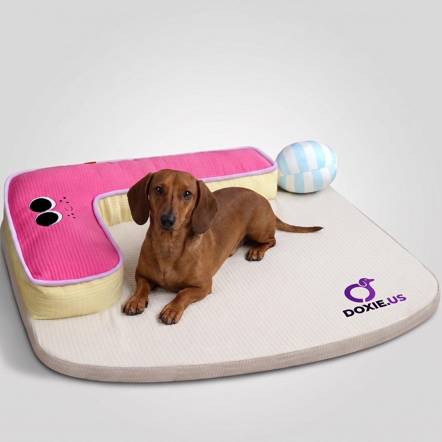 DoxiSlep-Dachshund-Sleeping-Bed.jpg