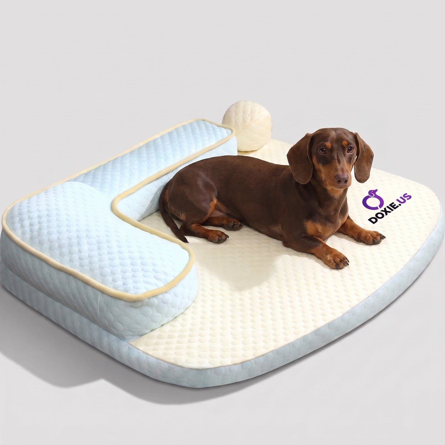 DoxiSlep-Dachshund-Sleeping-Bed.jpg