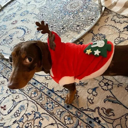 Doxie-Elk-Christmas-Costume-Cozy-Holiday-Outfit-www.doxie.us