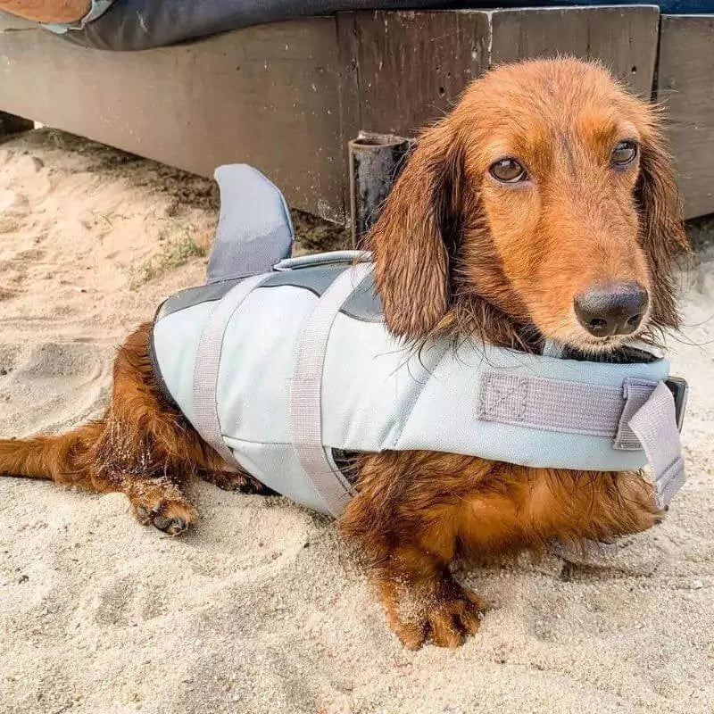 Doxie-Shark-Swim-Vest-Life-Jacket-with-Handle-for-Water-Safety-www.doxie.us