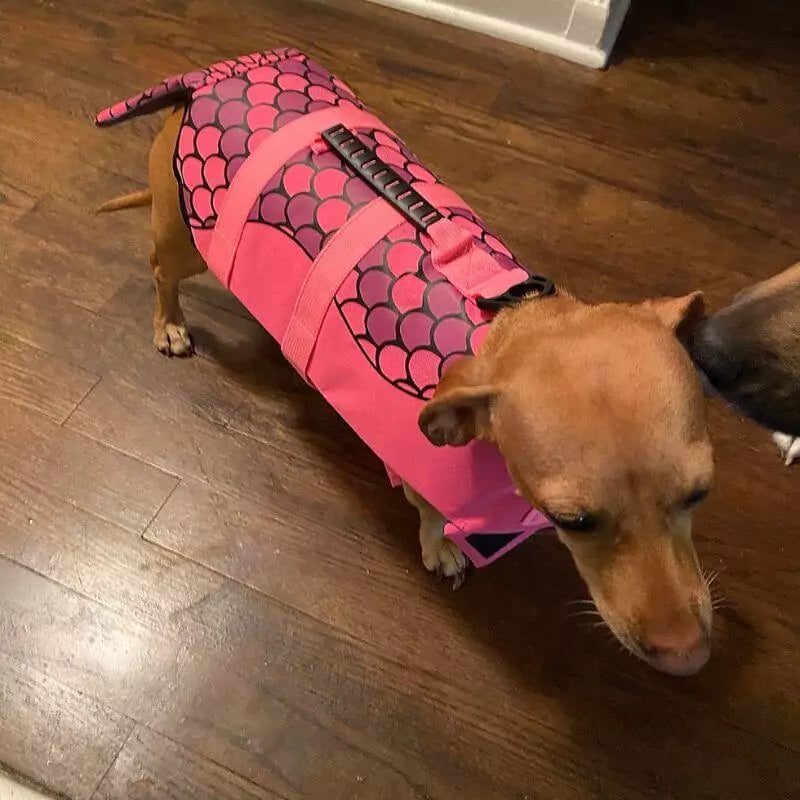 Doxie-Shark-Swim-Vest-Life-Jacket-with-Handle-for-Water-Safety-www.doxie.us