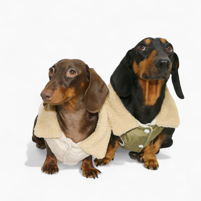 Doxie-Sherpa-Puffer-Dachshund-Vest.jpg