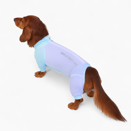 DoxieFur-Dachshund-Pajamas.jpg