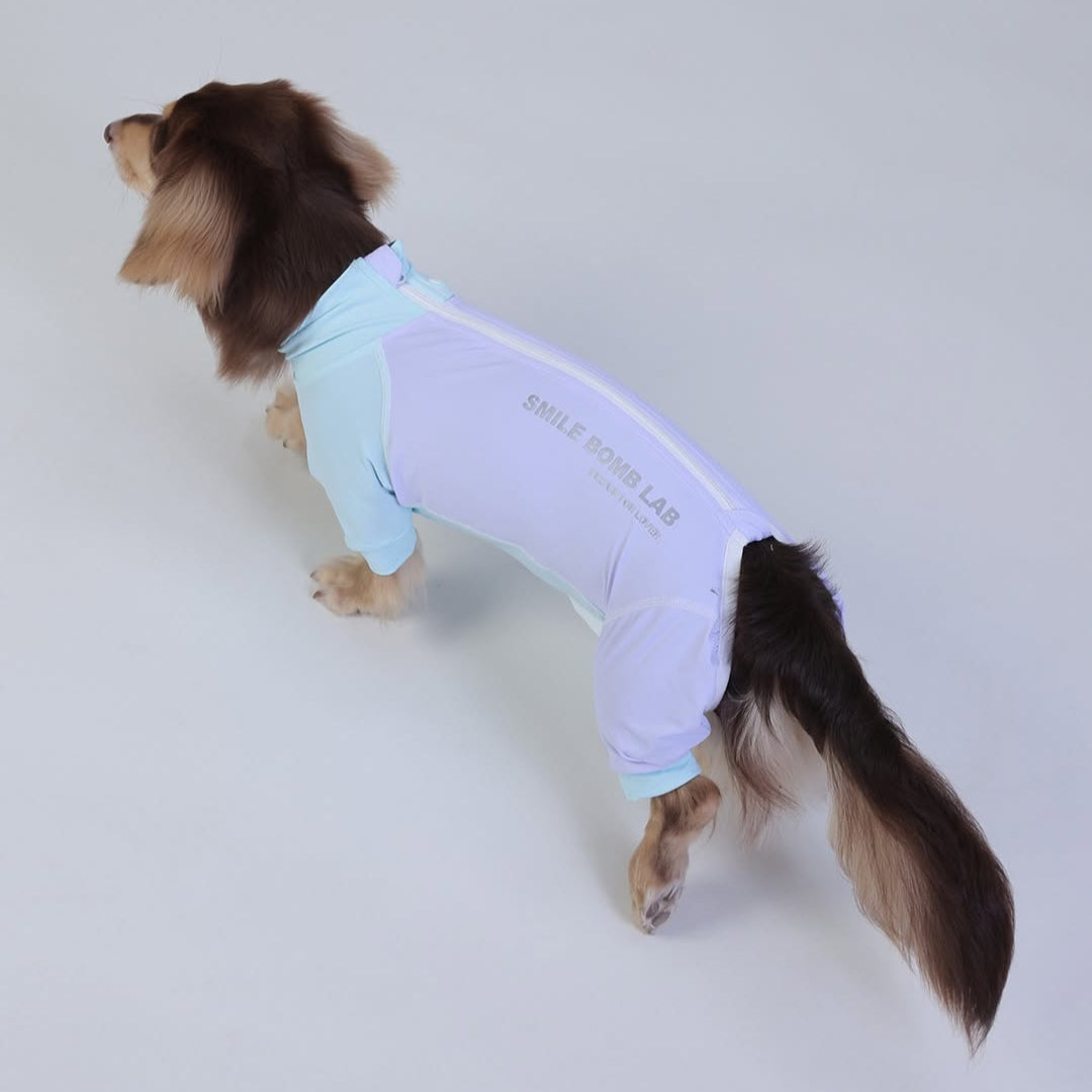 DoxieFur-Dachshund-Pajamas.jpg