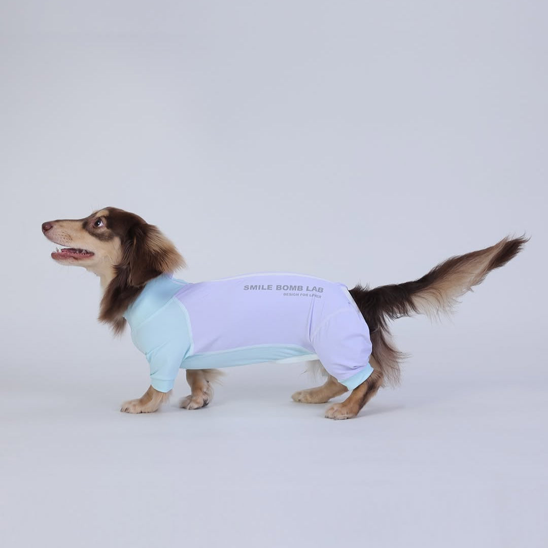 DoxieFur-Dachshund-Pajamas.jpg